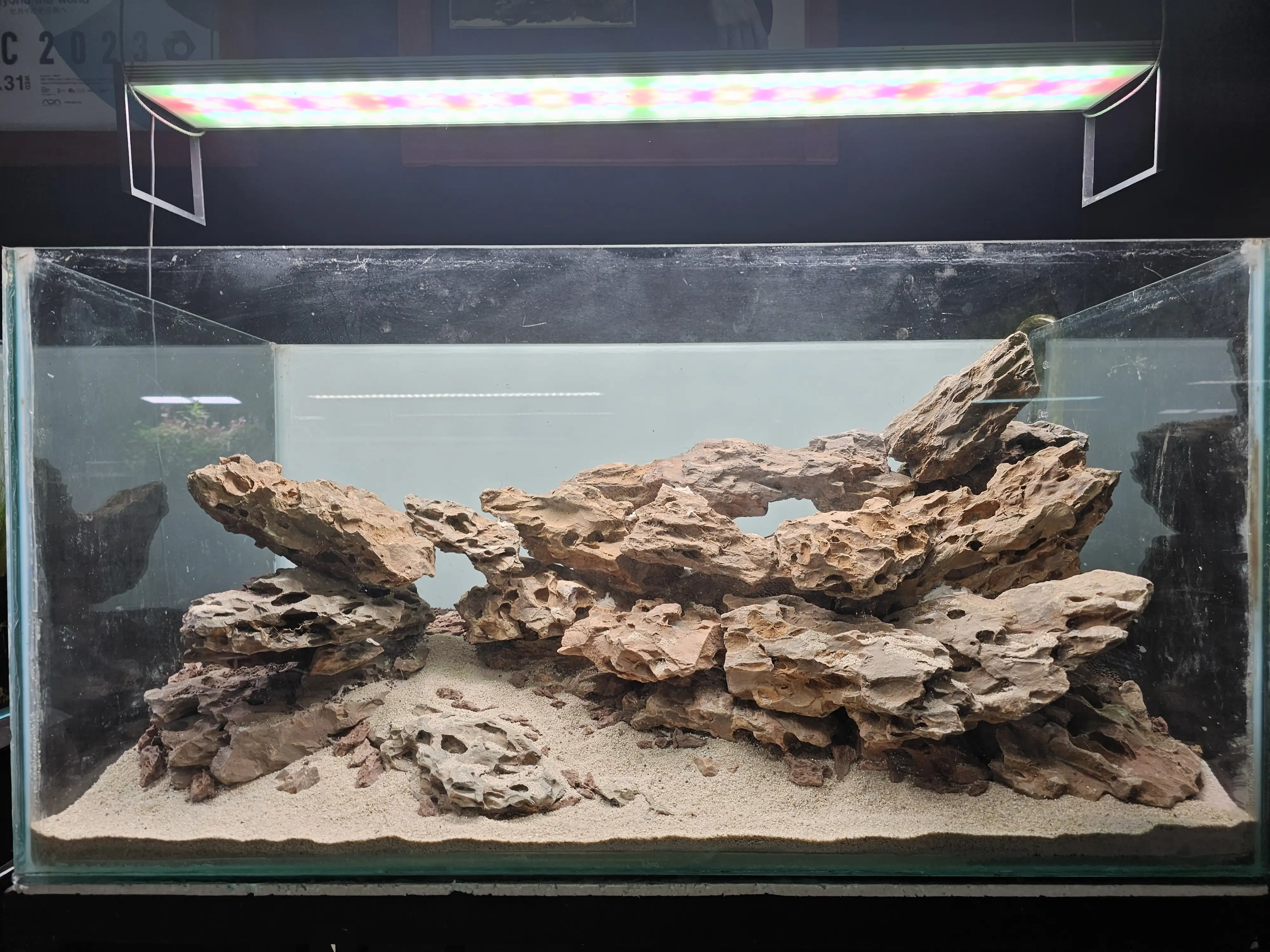 Aquascaping steps - Tigers in the Dragon - IAPLC 2025 Fine Works - Naadir Esmail / Mozambique